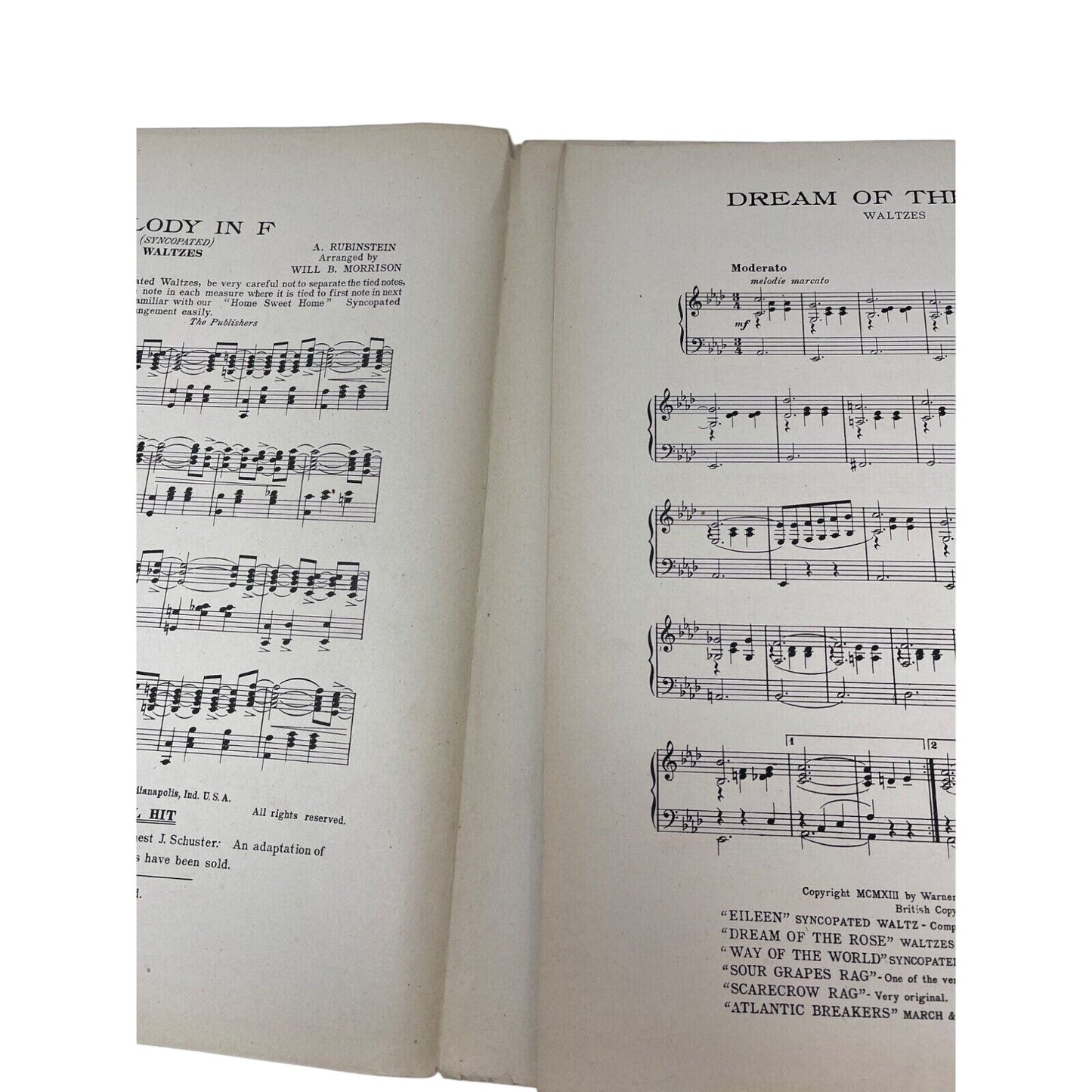 Dream of the Rose Waltzes 1913 Sheet Music Will B Morrison