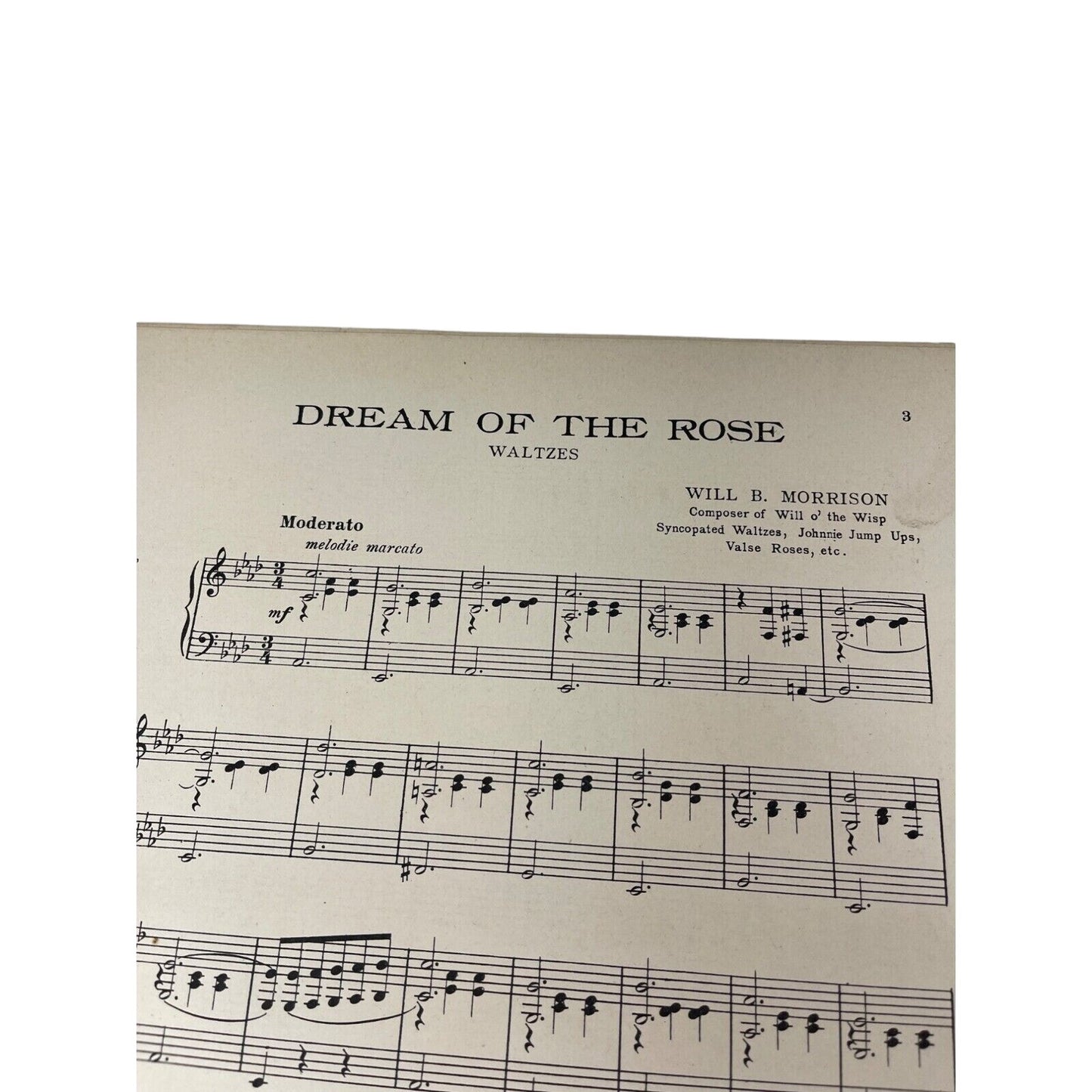 Dream of the Rose Waltzes 1913 Sheet Music Will B Morrison