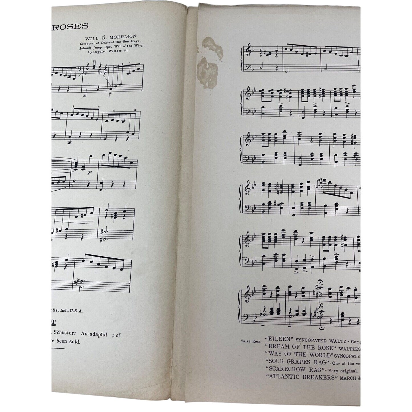 Valse Roses 1913 Sheet Music Will B Morrison