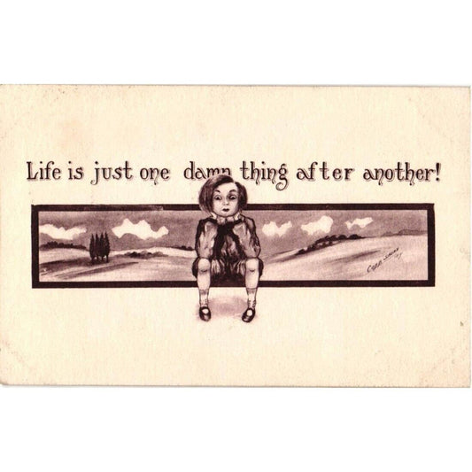 Cobb Shinn Life Is Just One Thing After Another Antique Postcard Posted 1910